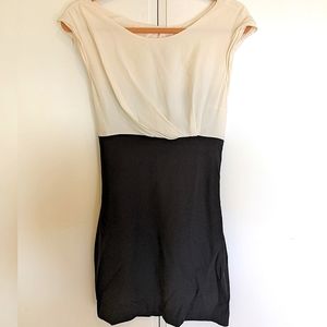 Sandro Paris Silk Dress